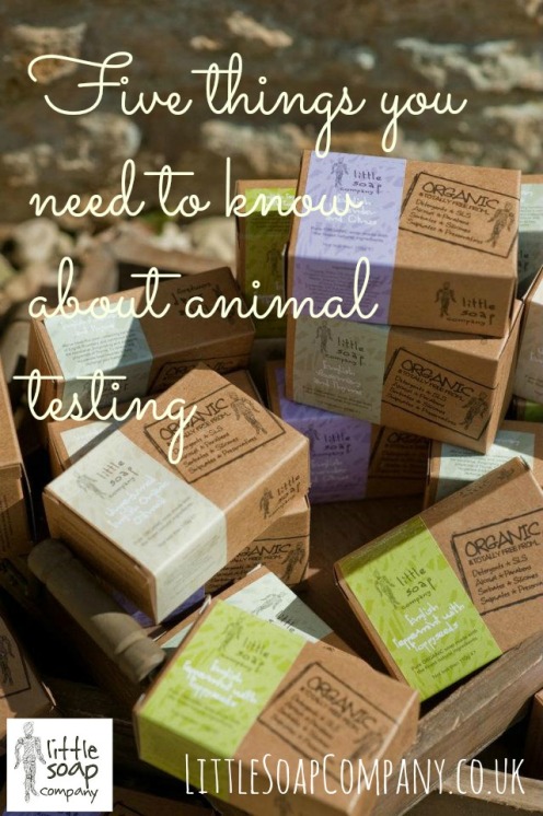 five things you need to know about animal testing~ LittleSoapCompany.co.uk