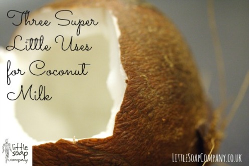 Three Super Little Uses for Coconut Milk_LittleSoapCompany.co.uk